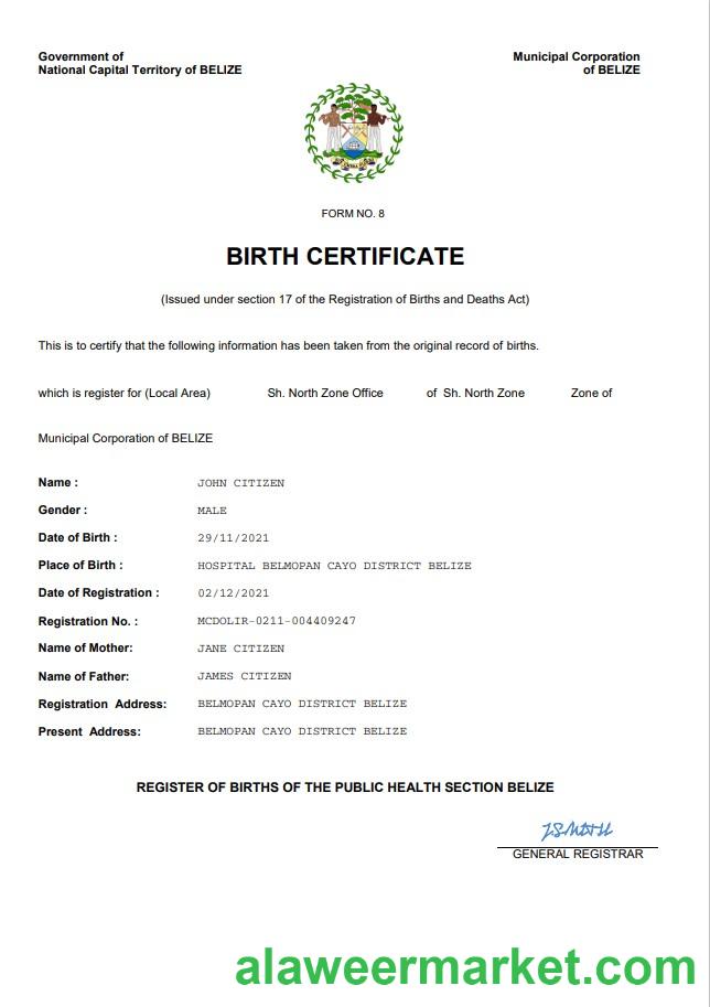 Belize vital record birth certificate Word and PDF template